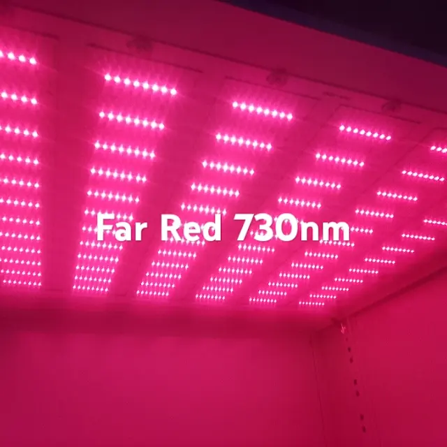 Far Red LEDs
