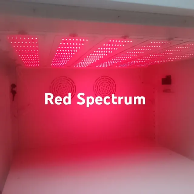 Red Spectrum LEDs