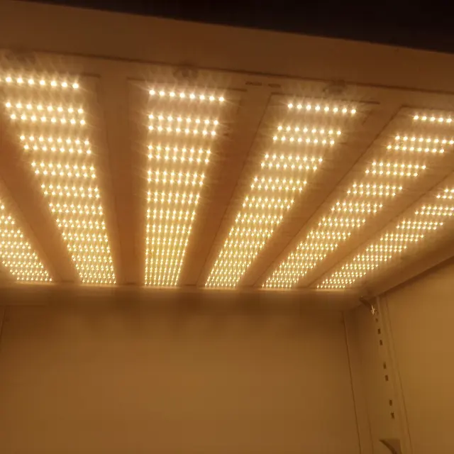 Warm White LEDs